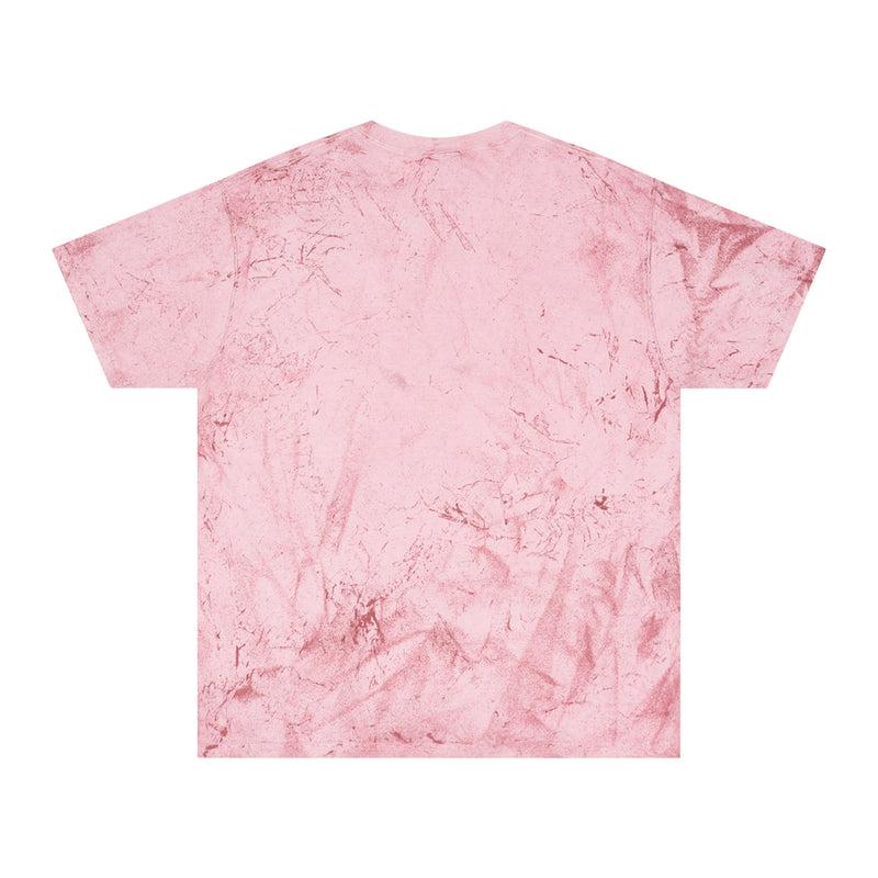 Custom Donkey Unisex Tie Dye  100% Cotton T-Shirt by Comfort Colors - Your Donkey's Name