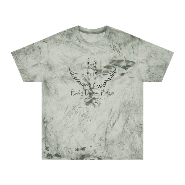 Custom Angel Wings & Halo Horse Memorial | Unisex Tie Dye T-Shirt by Comfort Colors